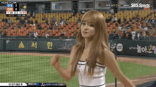 a collection of professional baseball cheerleaders