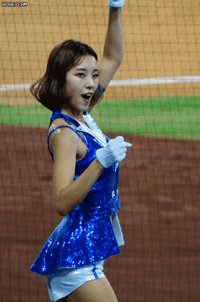 a collection of professional baseball cheerleaders