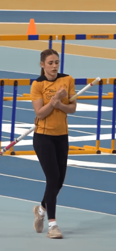 the elasticity of a pole vaulter