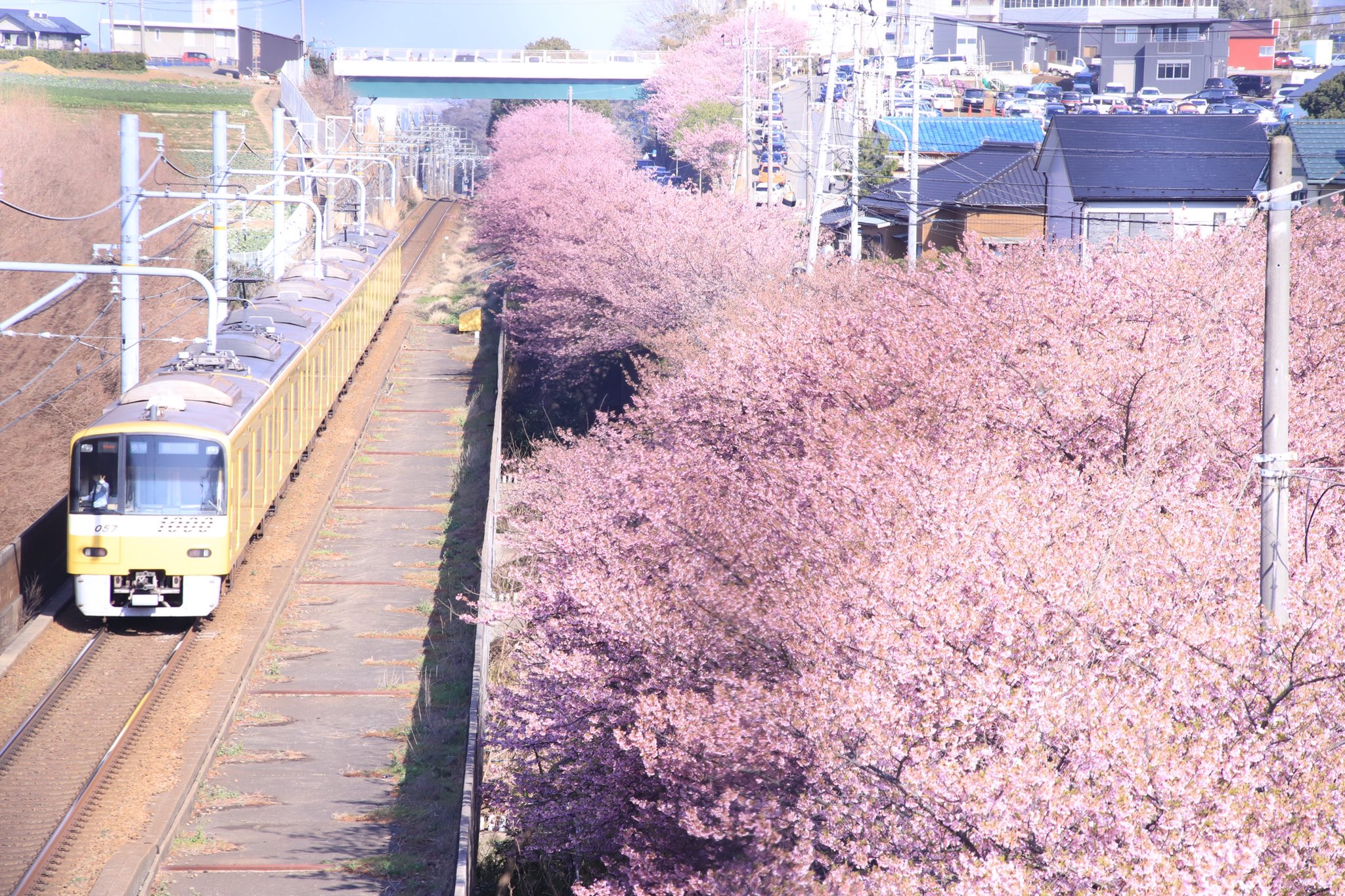 벚꽃이랑 기차 사진을 찍었는데