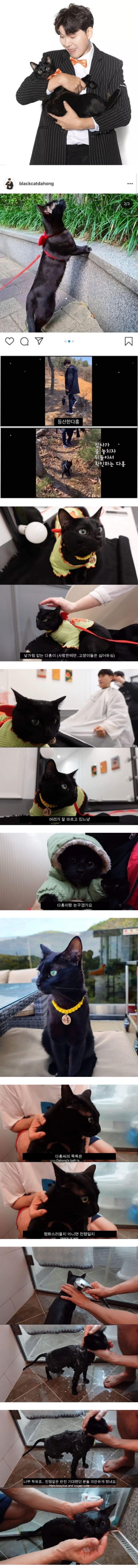 박수홍이 냥줍한 고양이