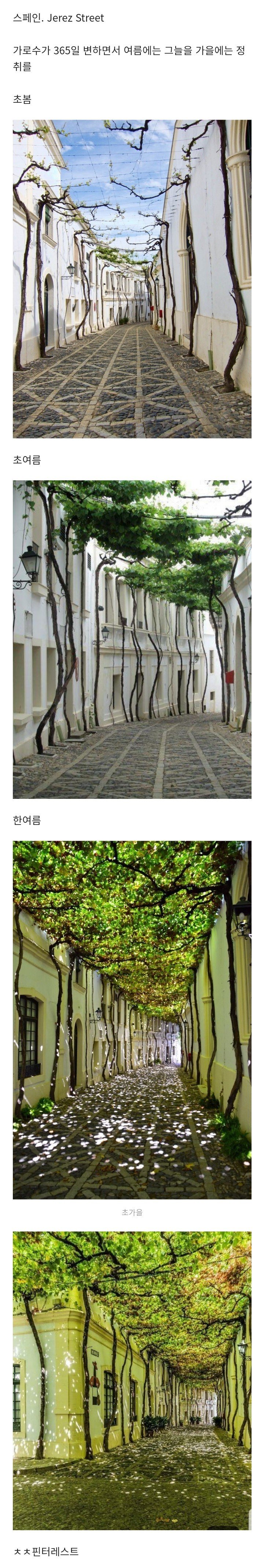 스페인의 조경 디자인