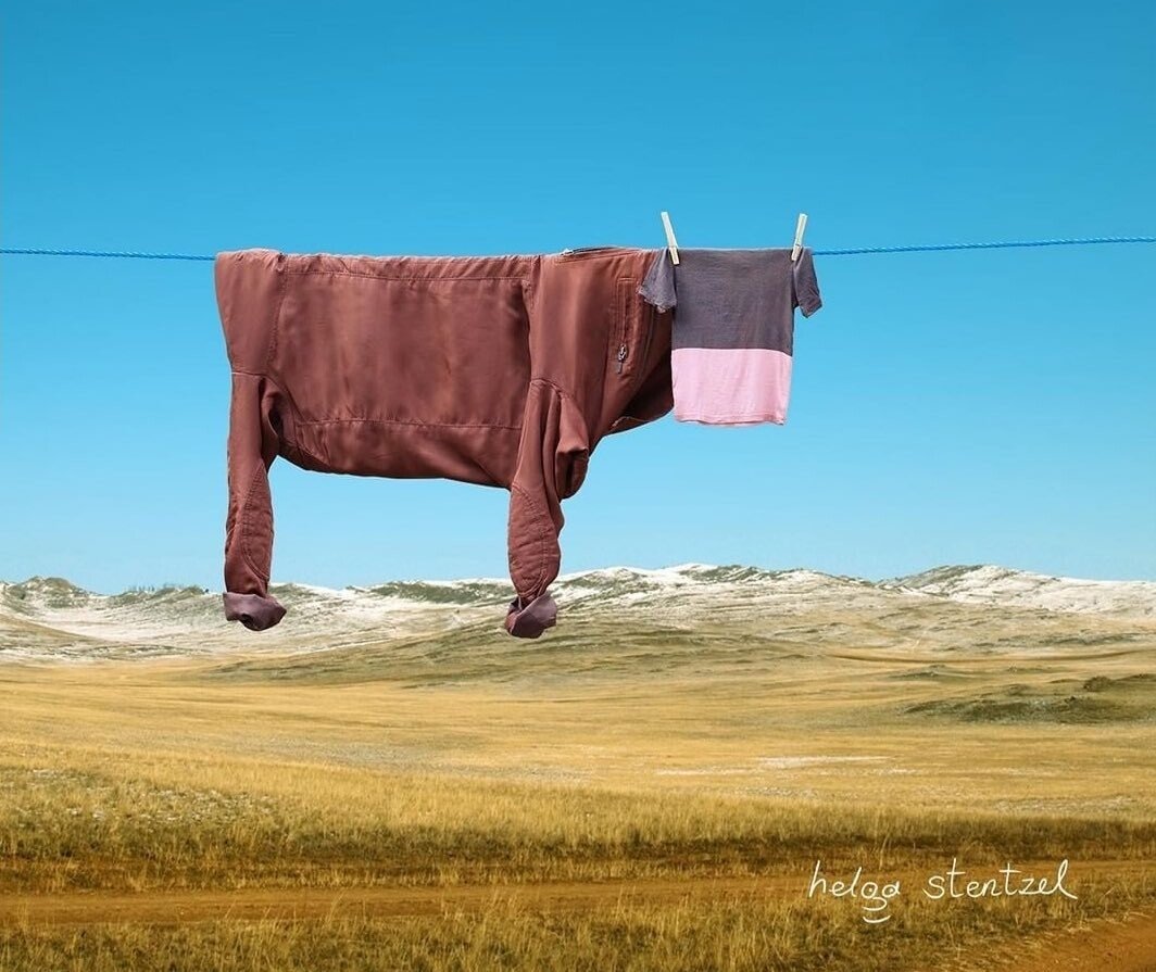 Hey, what's the name of the cow? Laundry shop