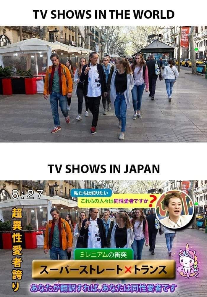 일본 TV 쇼 특징