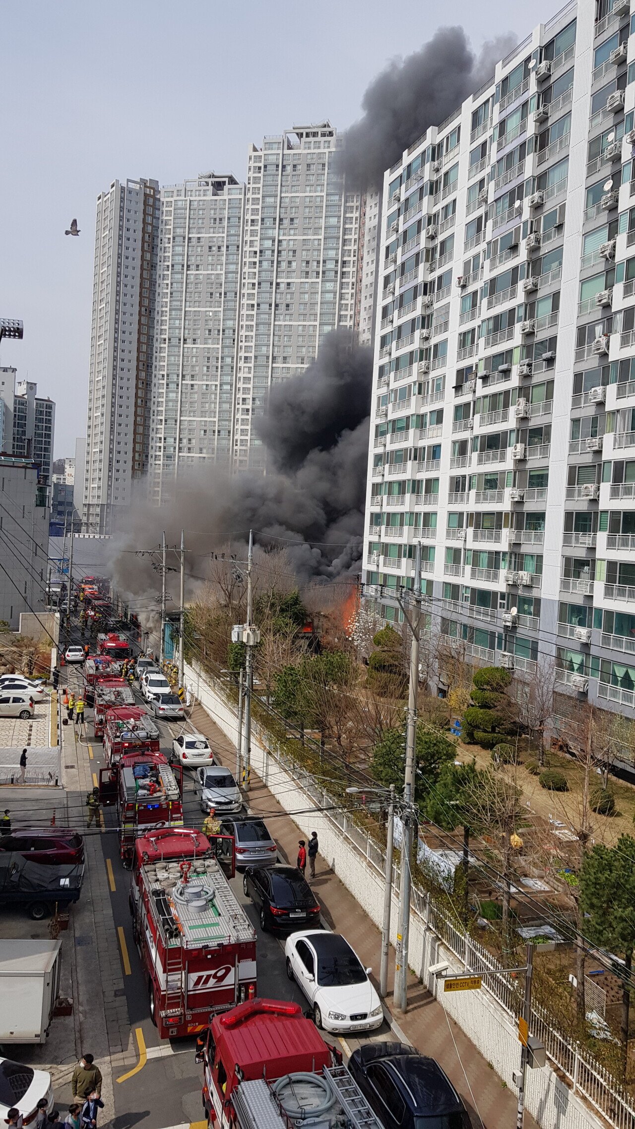 Daegu Chimsan Intersection Fire