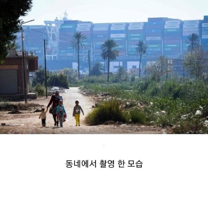 수에즈운하 길막 상황 요약정리