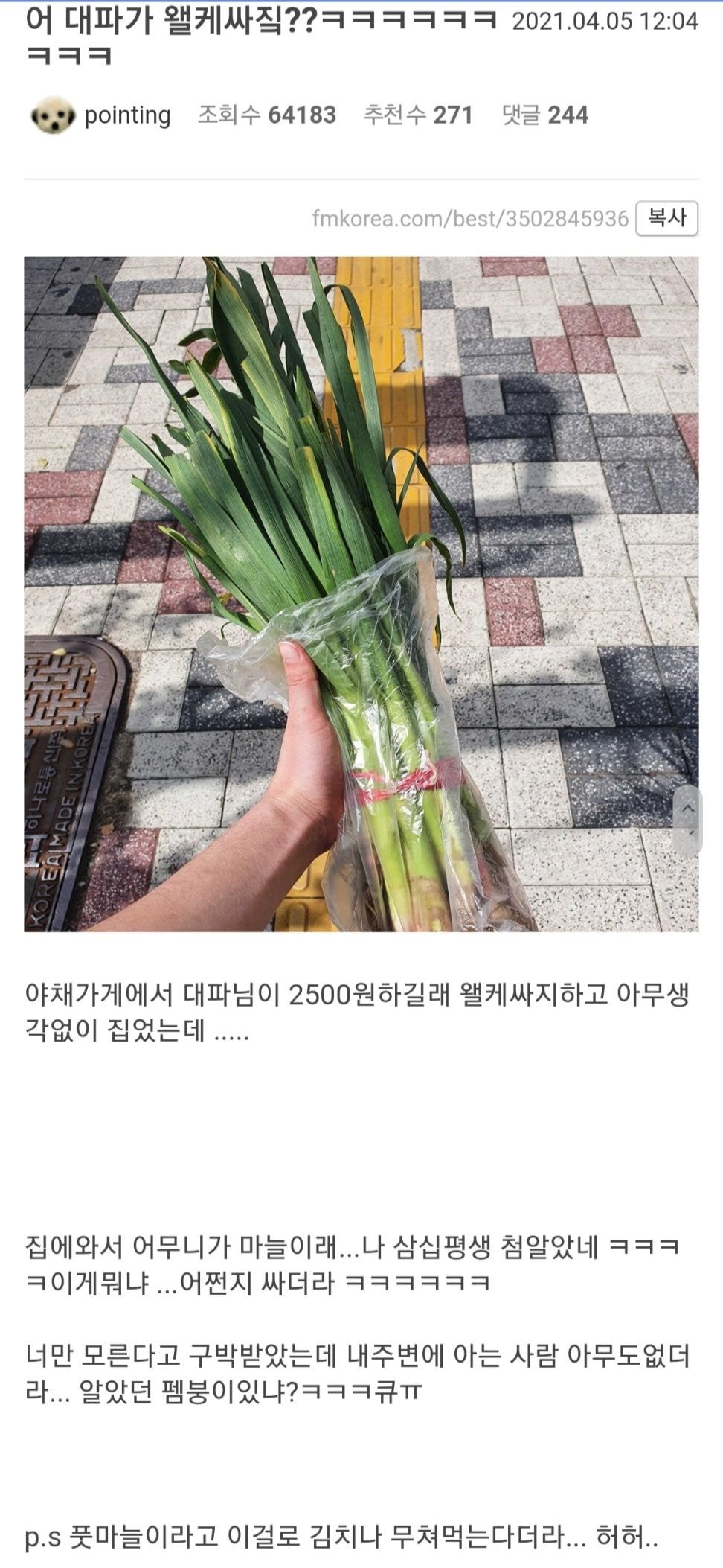 잘 구분 못하는 사람들 있다는 채소