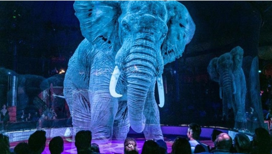 Germany's latest ban on animal use in circuses.jpg