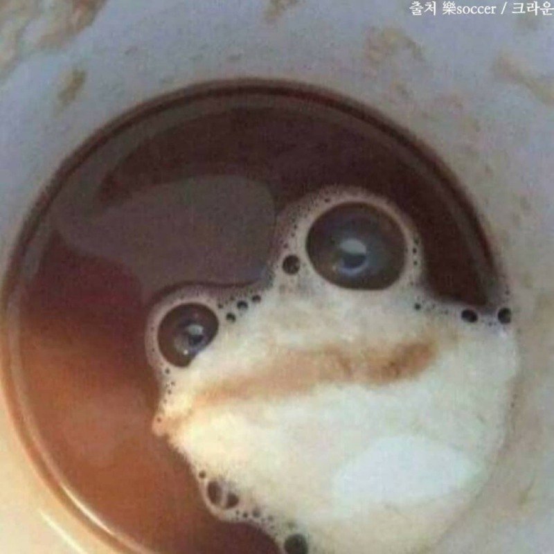 커피에서 개구리 나왔는데 따져야 하나?