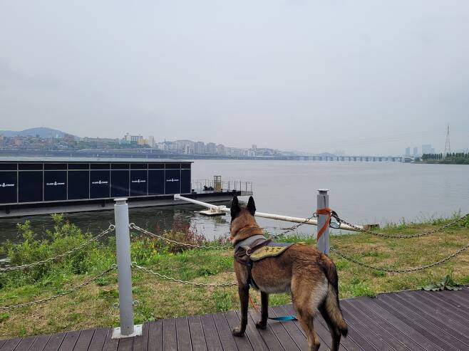 Private lifeguard who must remember the disappearance of the Han River.