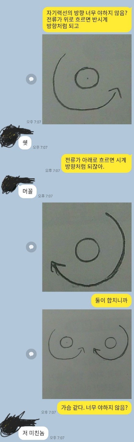 이과주의) 자기력선이 야한 이유.jpg