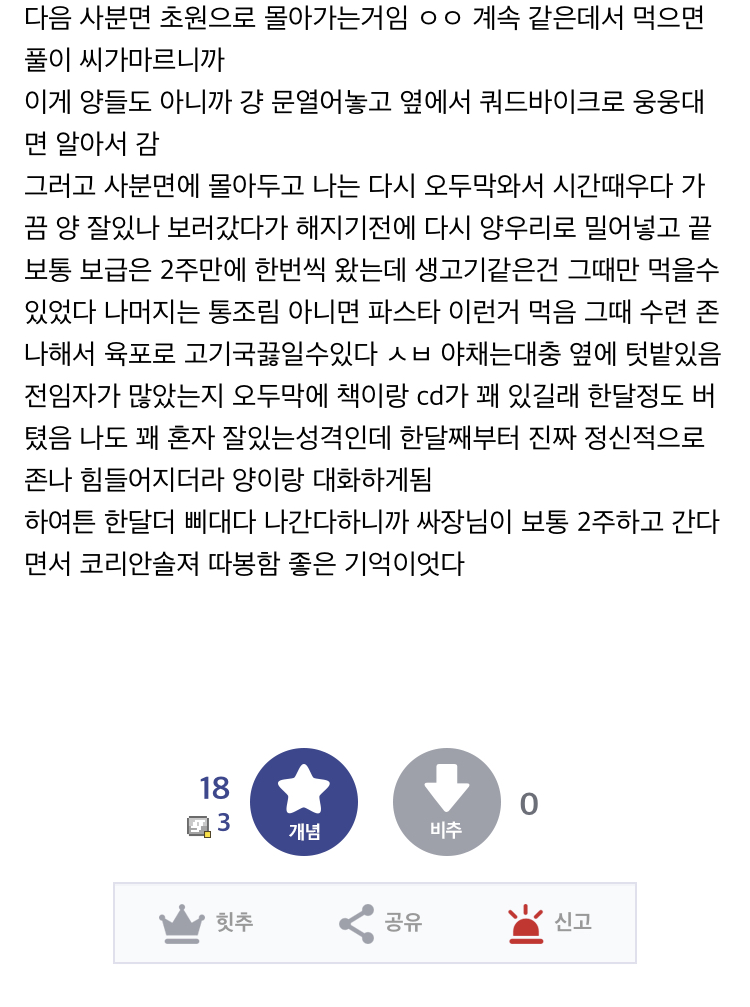 디시인의 워킹홀리데이.jpg