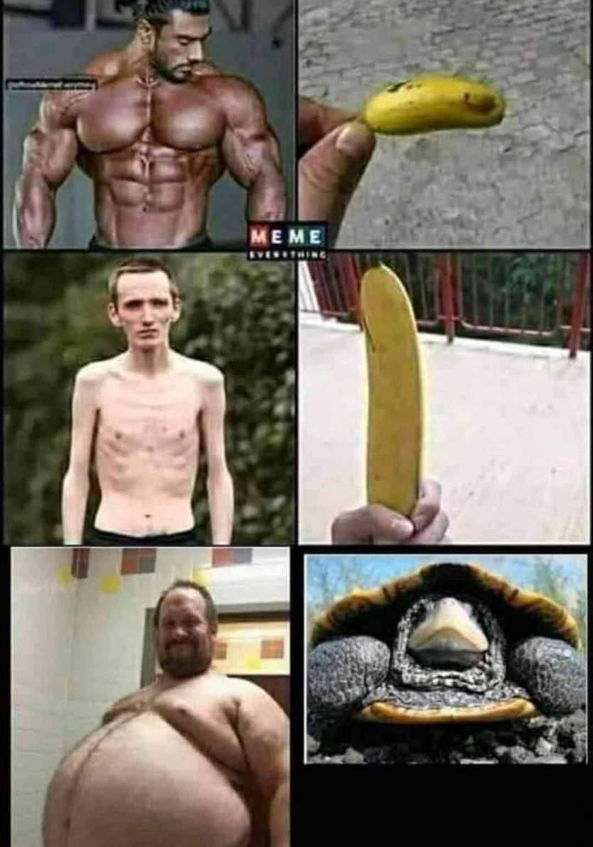 Banana by body type...