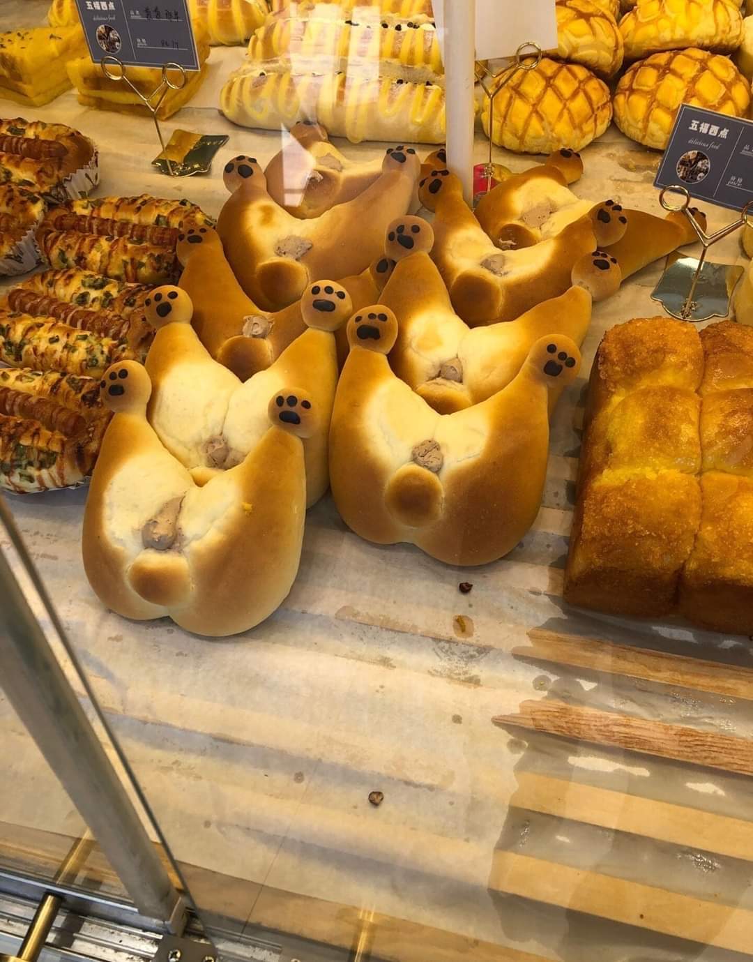 귀여운 강아지 모양 빵.jpg