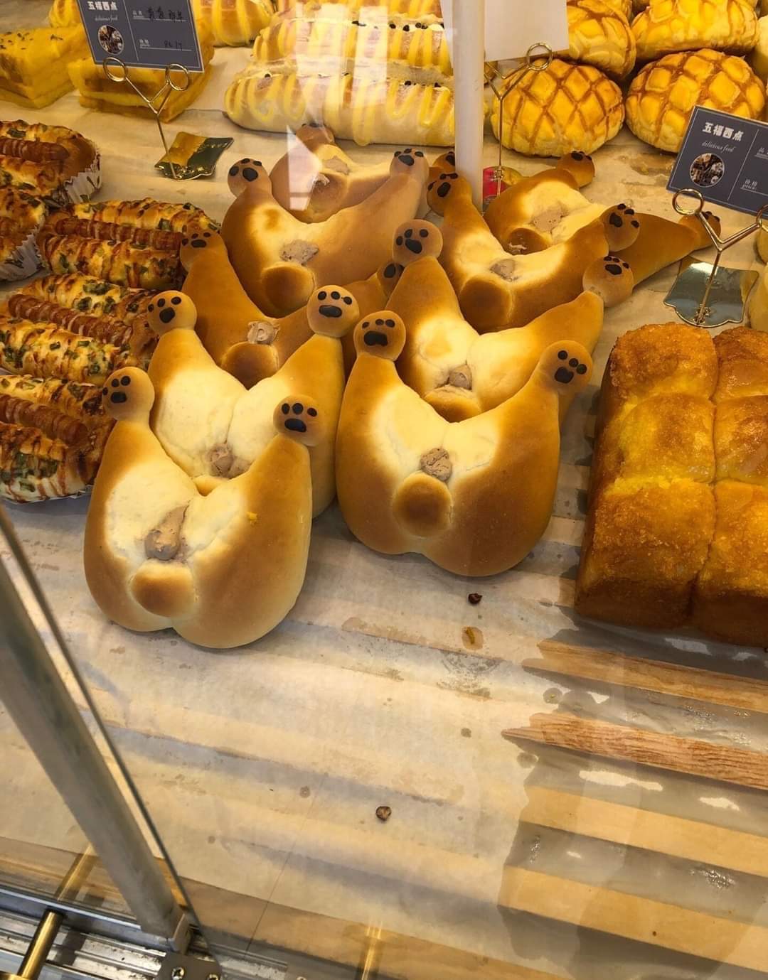 Cute puppy-shaped bread.jpg