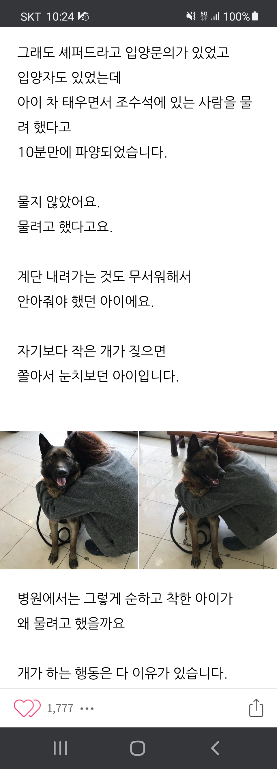 입양 10분만에 안락사 대상이 된 개.jpg