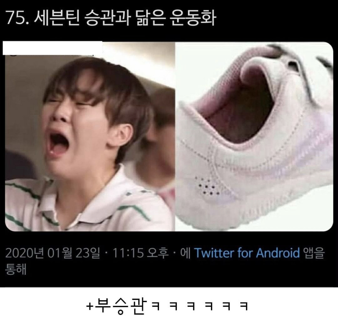 Celebrity who looks like sneakers.jpg