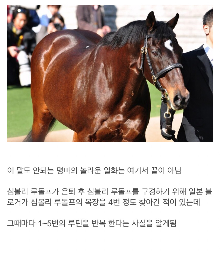 The Japanese racehorse, called the Spirit, like, a Japanese racehorse called a spirit.