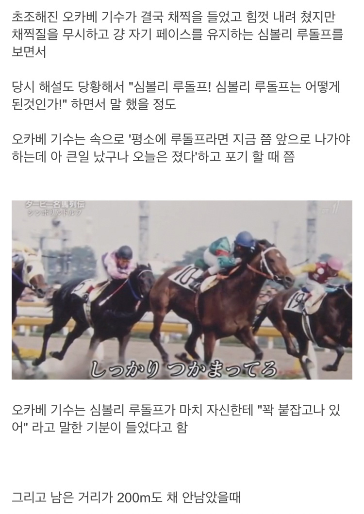 The Japanese racehorse, called the Spirit, like, a Japanese racehorse called a spirit.