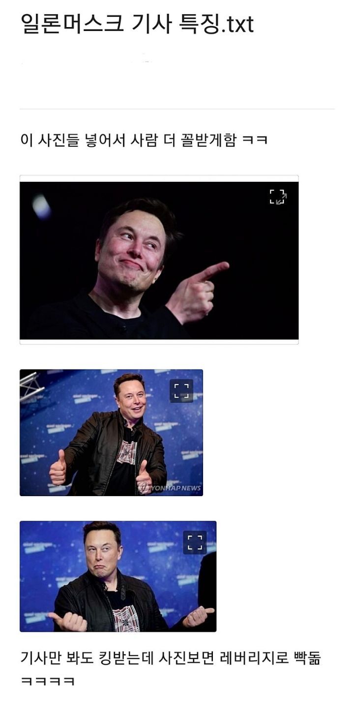 Elon Musk article characteristics.jpg