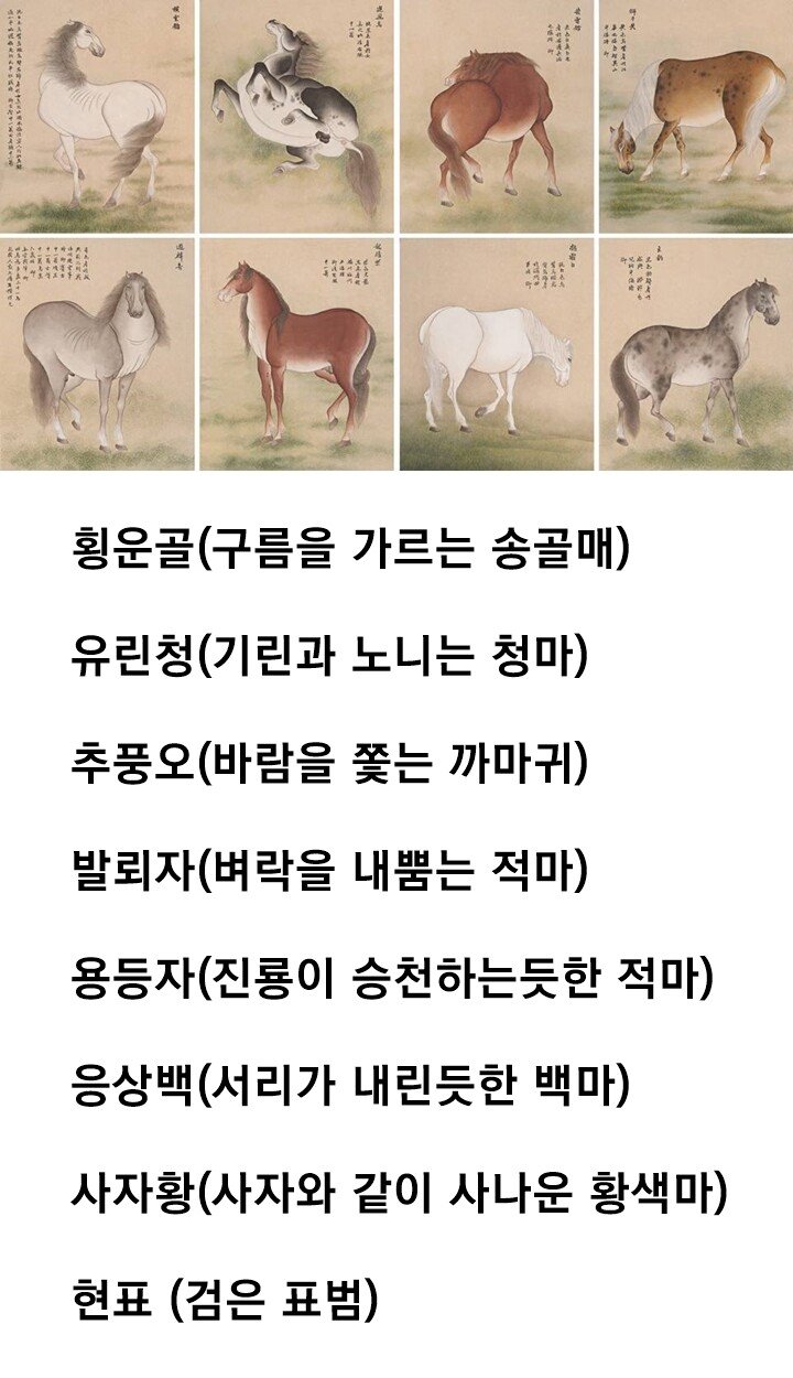 180cm tall. Taejo Lee Seong-gye used to ride this horse.