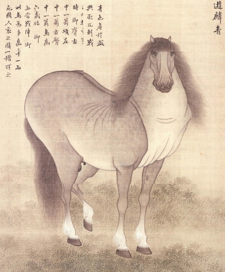 180cm tall. Taejo Lee Seong-gye used to ride this horse.