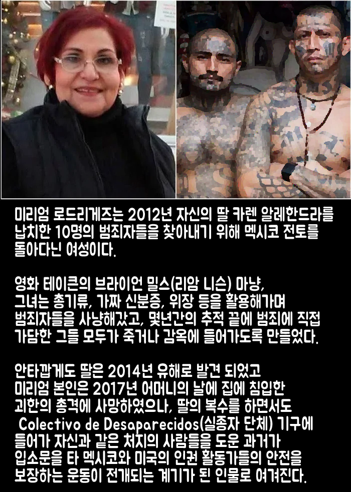 영화 테이큰이 현실에서 일어났던 사건