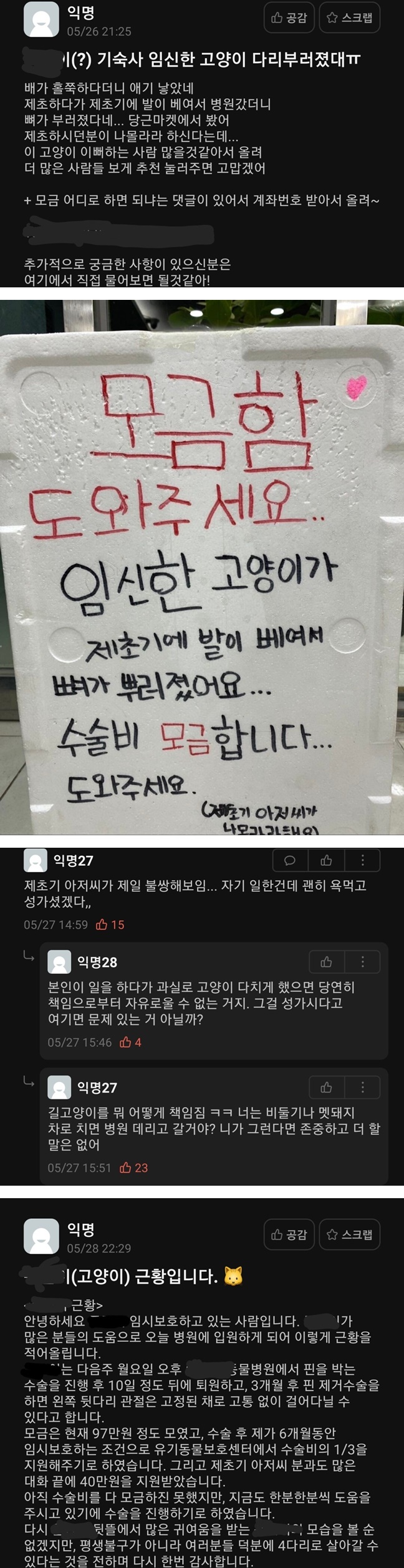 에타 논란의 어미 고양이 사고