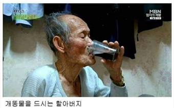 개똥물. JPG