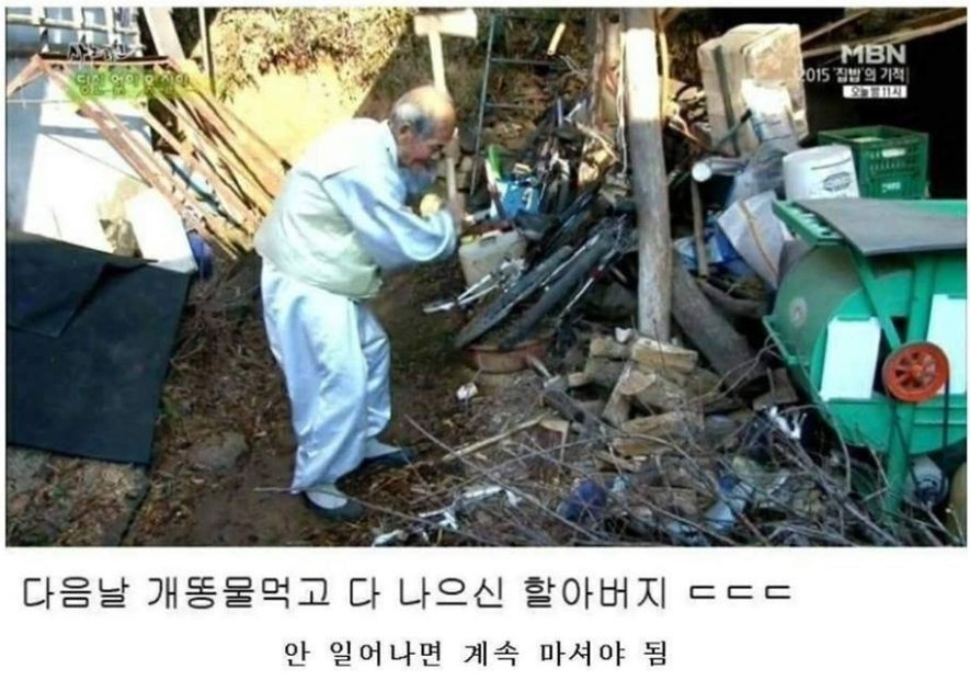 개똥물. JPG