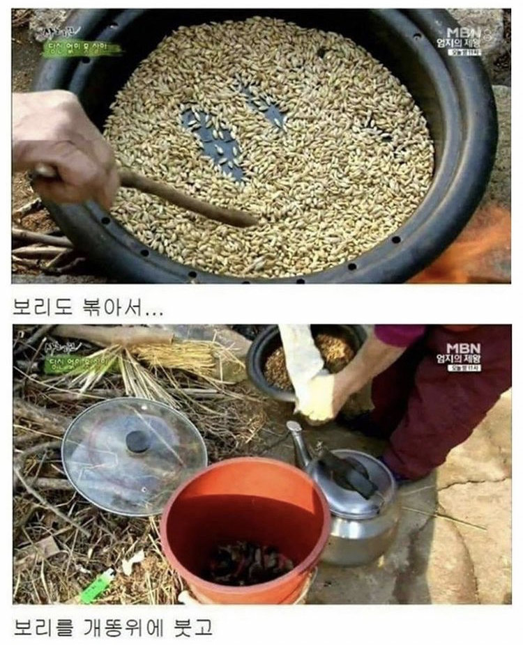 개똥물. JPG