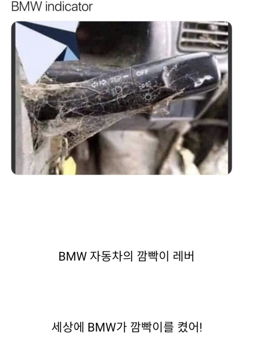 유럽인들이 생각하는 BMW 인식