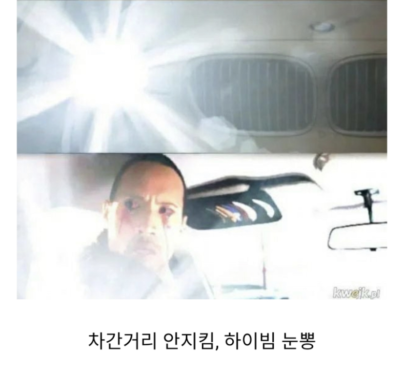 유럽인들이 생각하는 BMW 인식