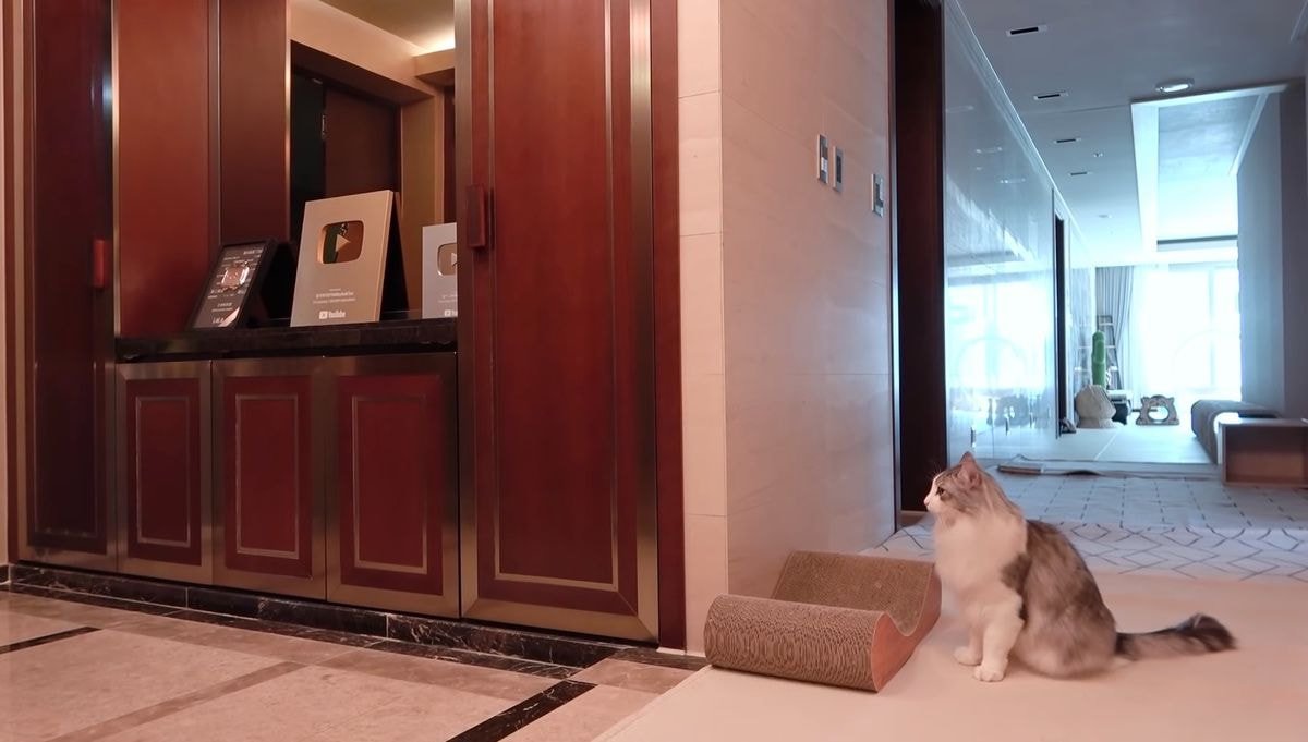 A cat waiting for a butler.