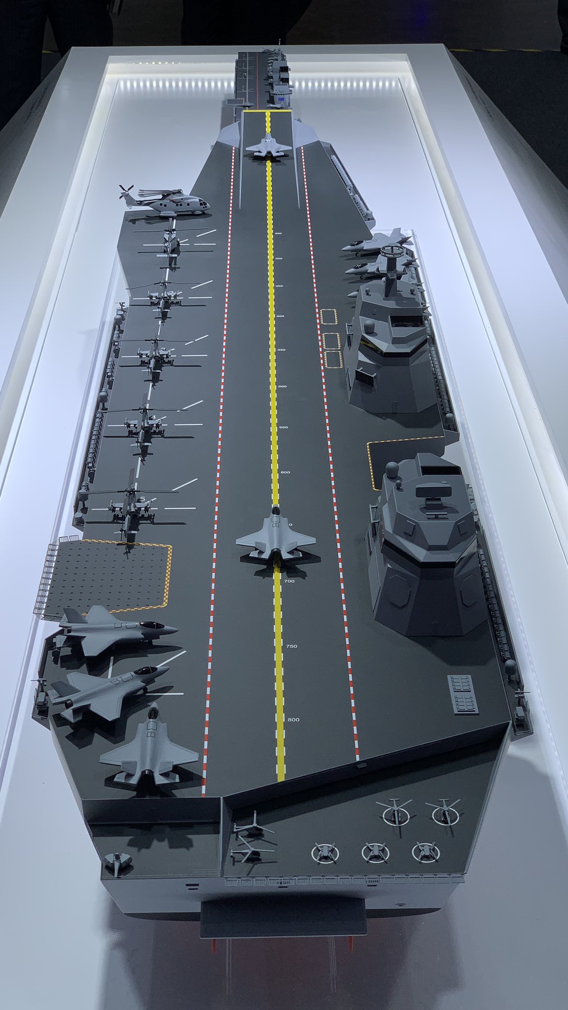 The treatment and current model of the aircraft carrier unveiled in the midst of the defence minister's dogging.
