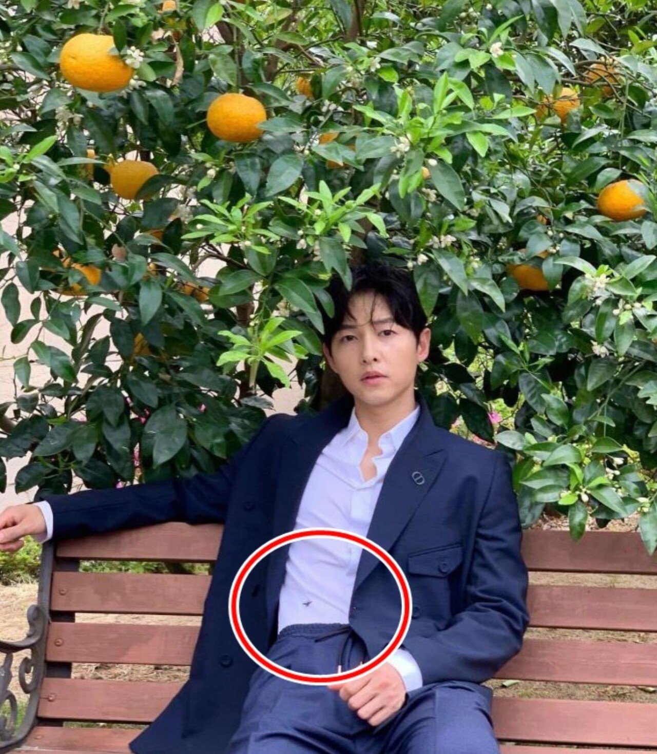 A bug on Song Joong-ki's shirt.