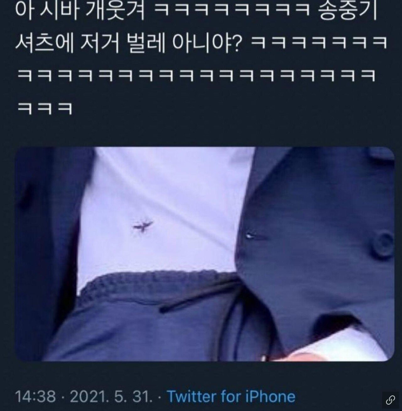 A bug on Song Joong-ki's shirt.