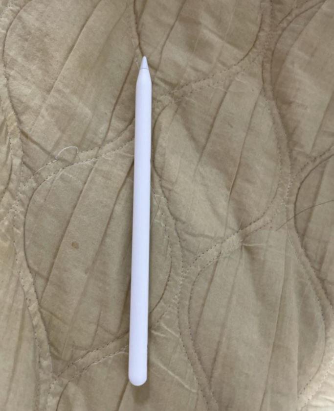 Spressure) Apple pencil that was charging on iPad pops