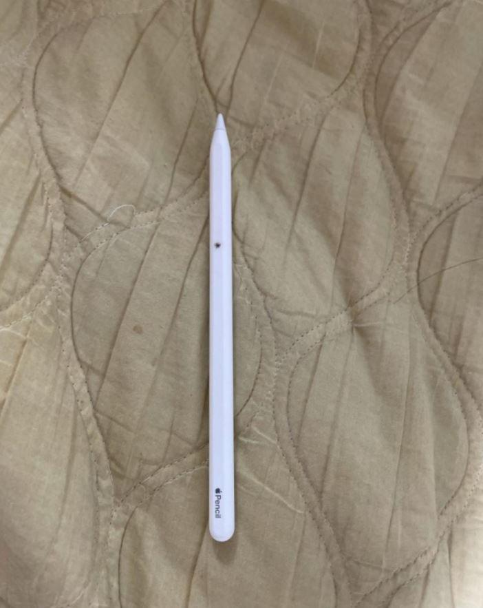 Spressure) Apple pencil that was charging on iPad pops