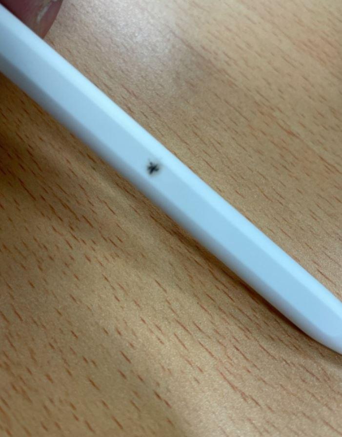 Spressure) Apple pencil that was charging on iPad pops