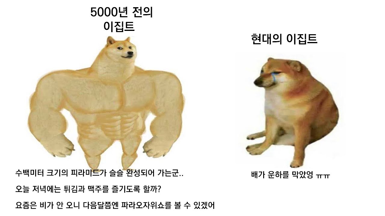 고대 이집트 vs 현대 이집트