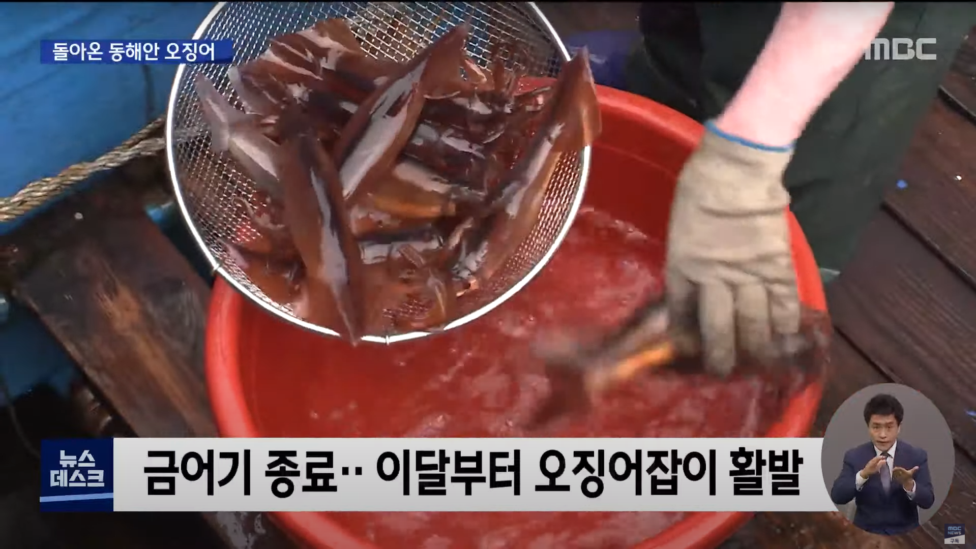 동해안 오징어잡이 근황.jpg