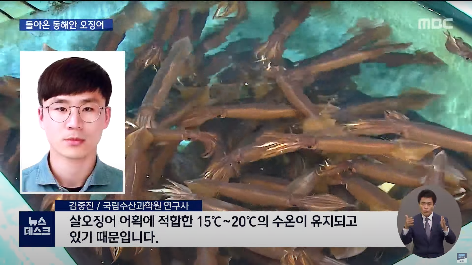 동해안 오징어잡이 근황.jpg