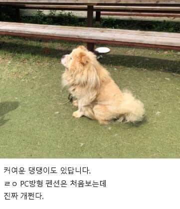 남자 단체 손님 최적화 펜션