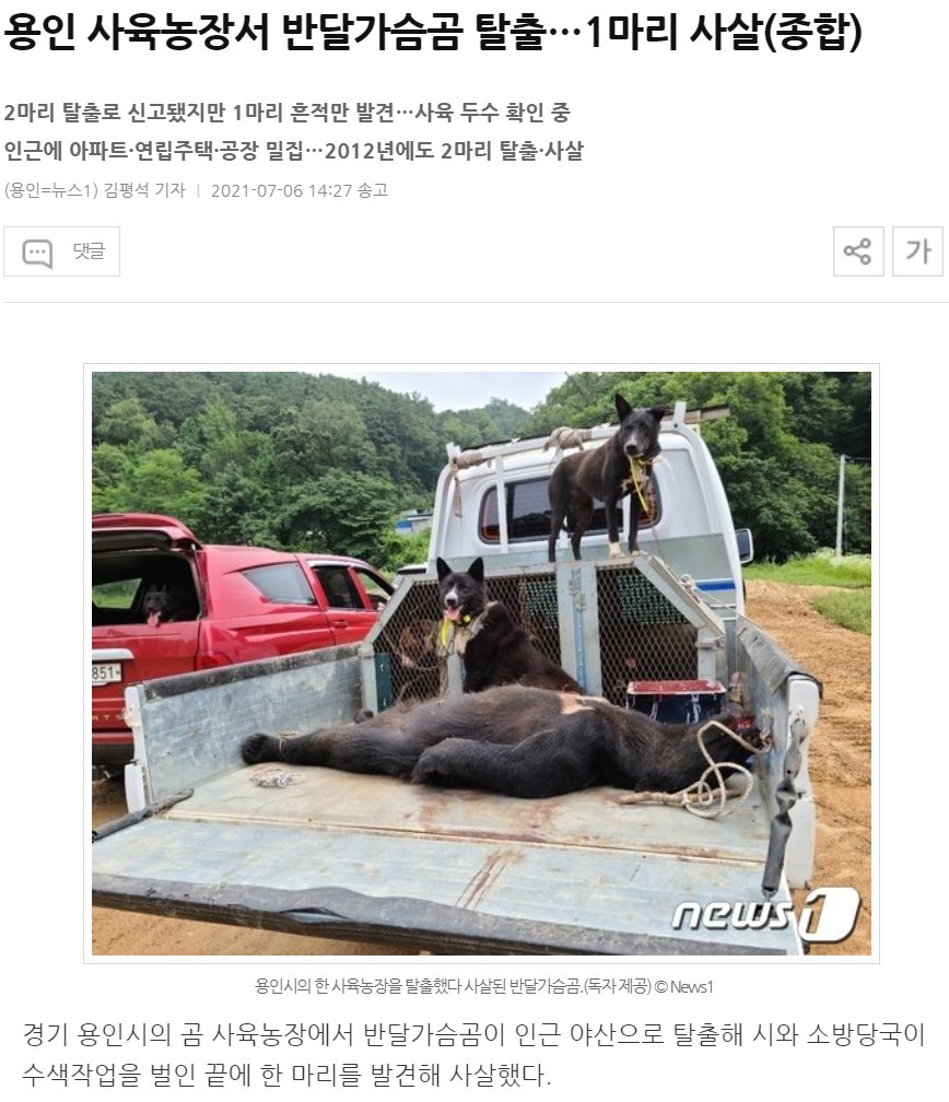 Yongin bear has been shot. gisa