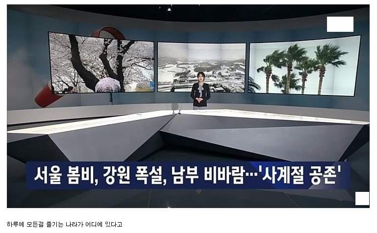 클라스가 다른 한국 사계절