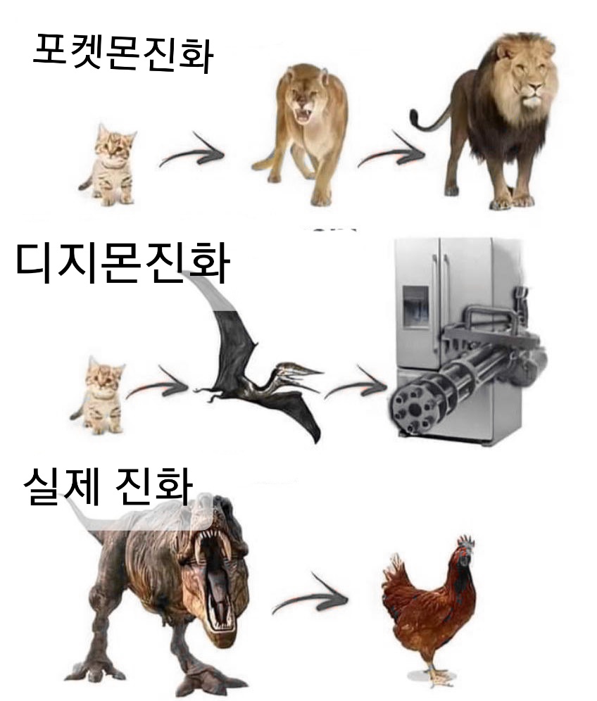 만화속 진화와 실제 진화