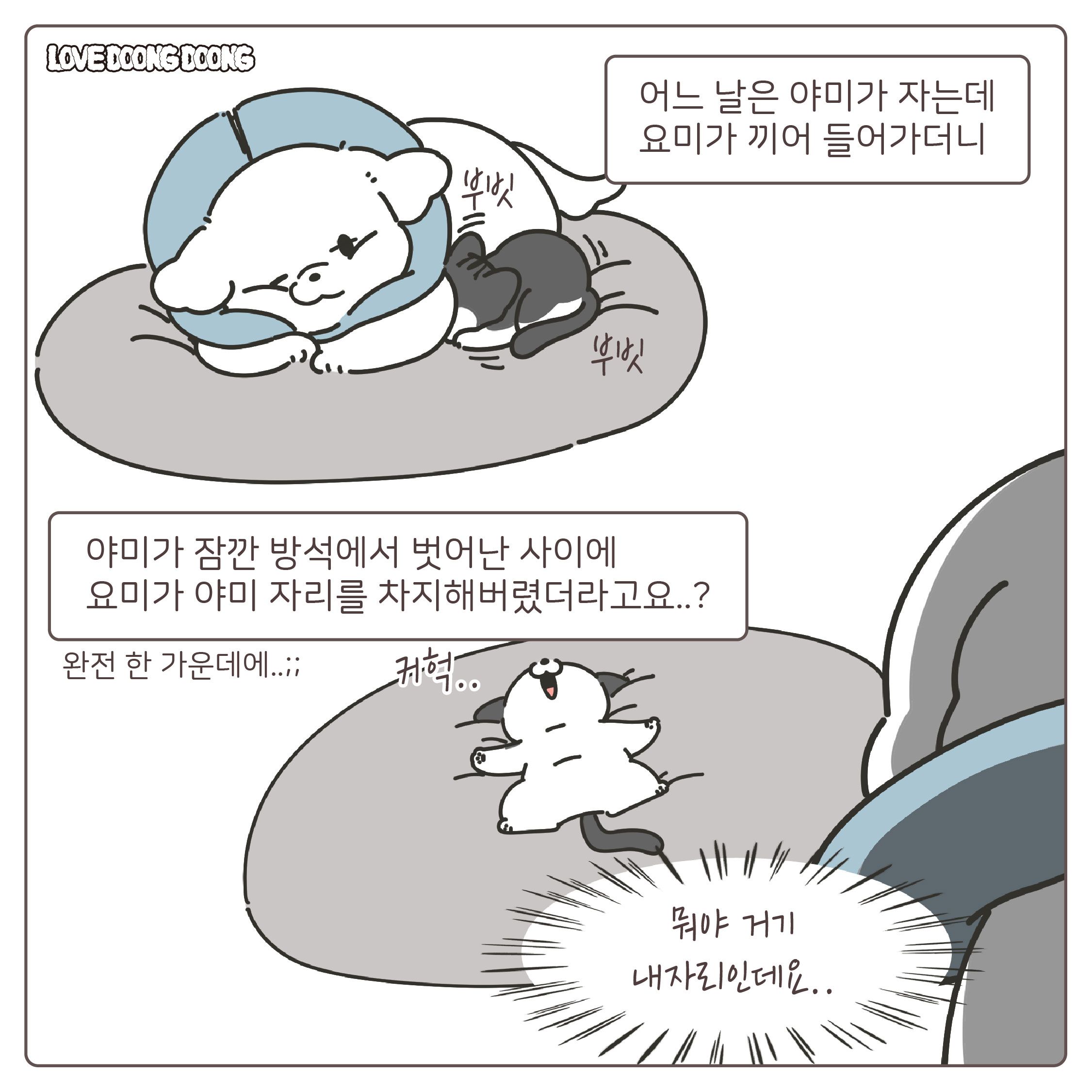 냥아치.jpg