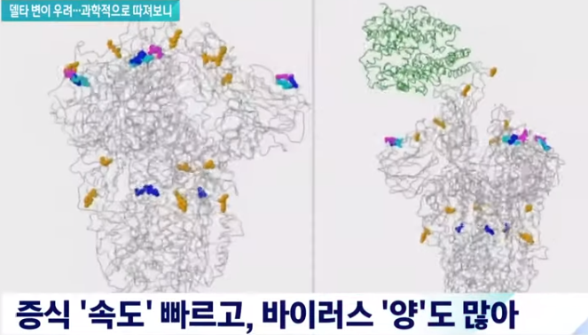 The current power of the Corona Delta mutation.