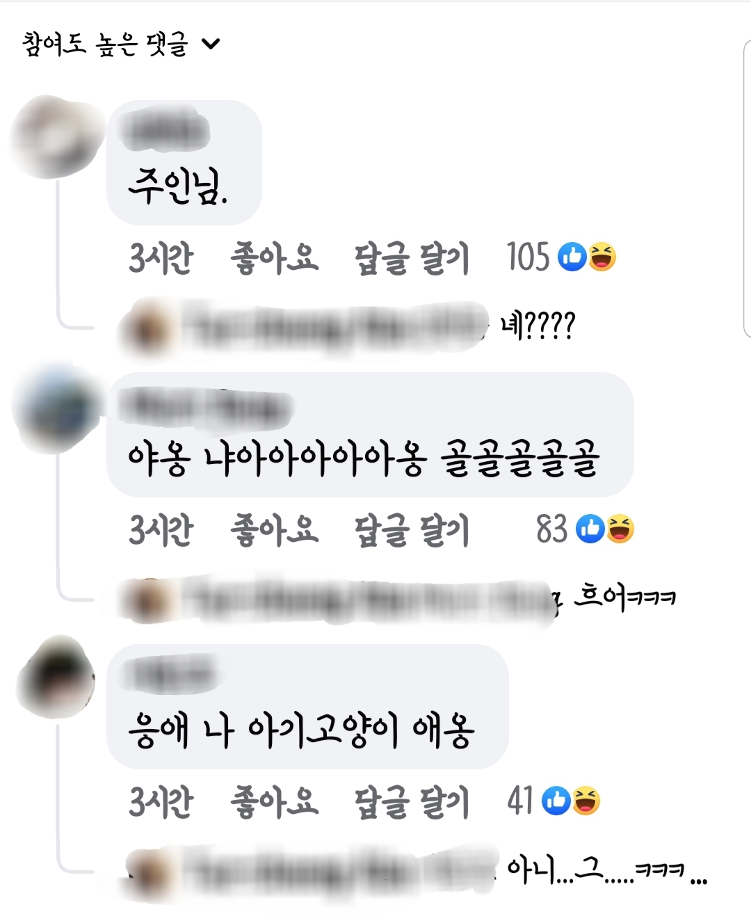 고양이도 생선 회를 먹어도 되나요?